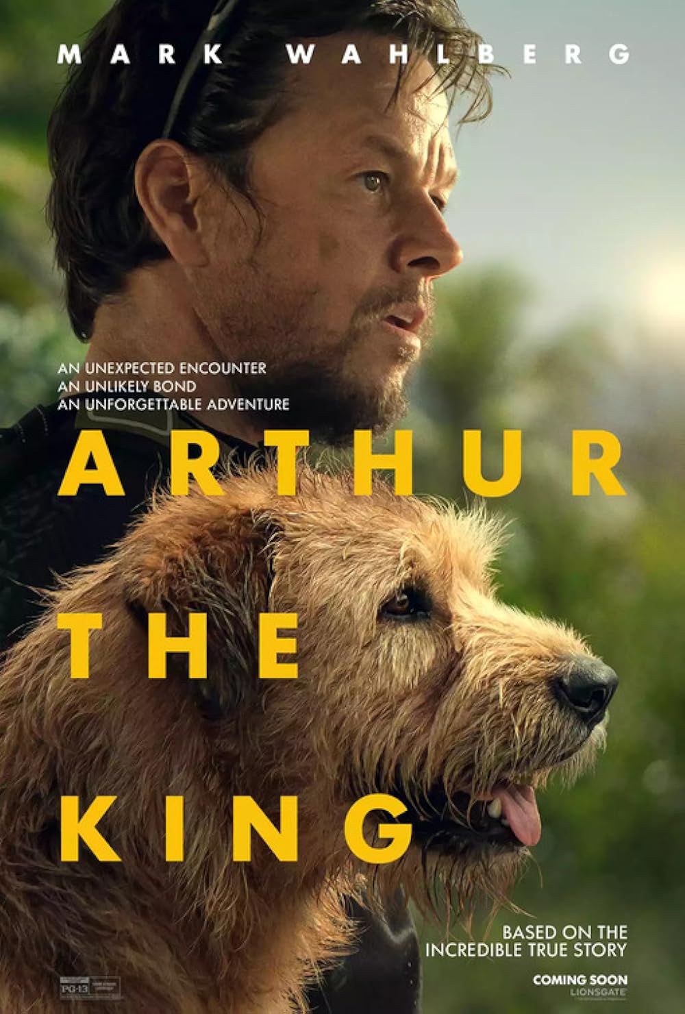 Movie ARTHUR THE KING